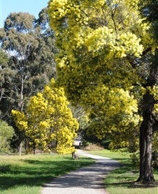  VIC Tourism