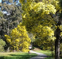 Wattle Park - VIC Tourism