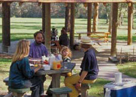 Warburton East VIC VIC Tourism