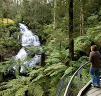 Great Otway National Park - VIC Tourism