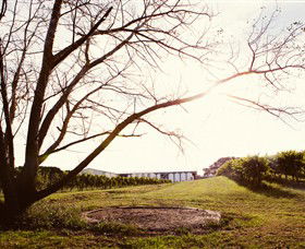 Scotchmans Hill - VIC Tourism 0