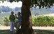 Five Oaks Vineyard - thumb 0