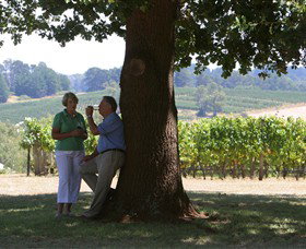 Five Oaks Vineyard - VIC Tourism 0