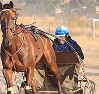 Ballarat  District Trotting Club - VIC Tourism