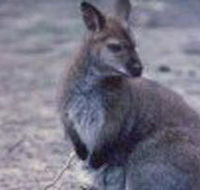 Churchill National Park - VIC Tourism
