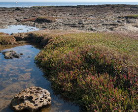 Ricketts Point Marine Sanctuary - VIC Tourism 0