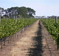 Mount Beckworth Wines - VIC Tourism