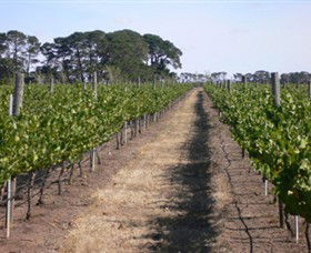 Mount Beckworth Wines - VIC Tourism 0