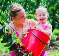 Cherryhill Orchards - VIC Tourism