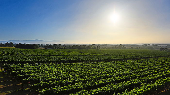  VIC Tourism
