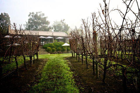 GREENSTONE VINEYARDS - VIC Tourism 4