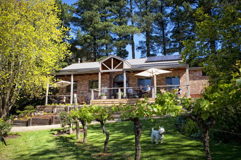 Main Ridge Estate - VIC Tourism 2