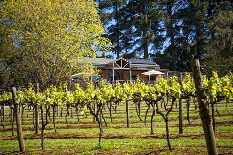 Main Ridge Estate - VIC Tourism 3