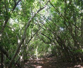Durras North NSW VIC Tourism