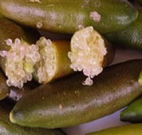Sandy Creek Olives and Finger Limes - VIC Tourism