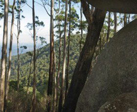 Gulaga National Park - VIC Tourism 0