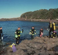 Bushrangers Bay Aquatic Reserve - VIC Tourism