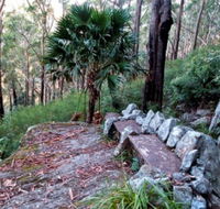 Wodi Wodi Walking Track - VIC Tourism