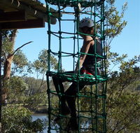 Trees Adventure Shoalhaven - VIC Tourism