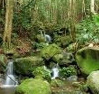 Budderoo National Park - VIC Tourism