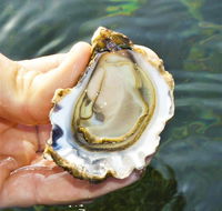 The Oyster Pot - VIC Tourism