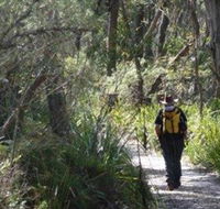 Barren Grounds Nature Reserve - VIC Tourism