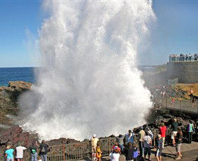 Kiama Blowhole - VIC Tourism 0
