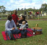 Blackbutt Forest Reserve - VIC Tourism