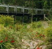 Eurobodalla Botanic Gardens - VIC Tourism