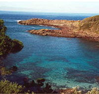 Bass Point Reserve - VIC Tourism