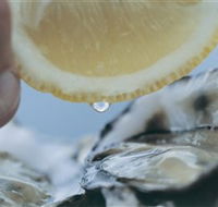 Pearly Oyster Bar and Farm - VIC Tourism