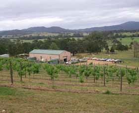 Yarratt Forest NSW VIC Tourism