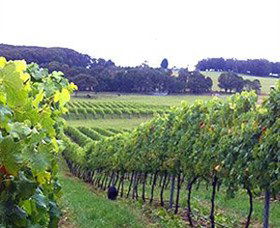 Exeter NSW VIC Tourism