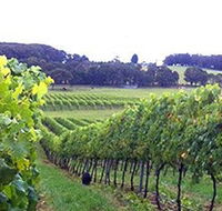 Banjo's Run Winery and Vineyard - VIC Tourism
