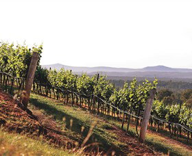 Briar Ridge Vineyard - VIC Tourism 1