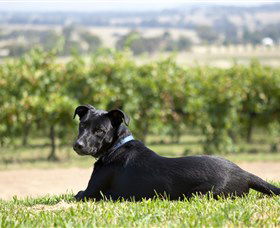 Moothi Estate Vineyard And Cellar Door - VIC Tourism 0