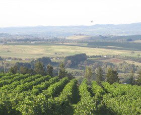 De Salis Wines - VIC Tourism 1