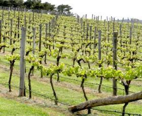 Guyong NSW VIC Tourism