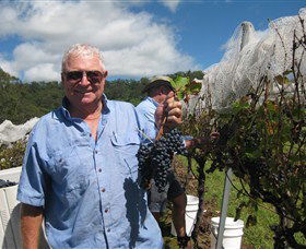 Razorback Ridge Wines - VIC Tourism 8