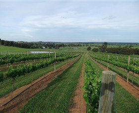 Razorback Ridge Wines - VIC Tourism 1