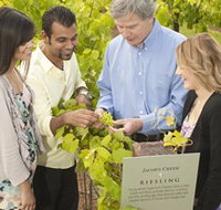 Jacob's Creek Vineyard Tour - VIC Tourism