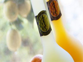 Ambra Limoncello - VIC Tourism 0