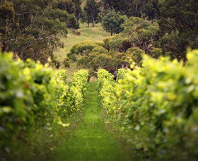Clarkfield VIC VIC Tourism