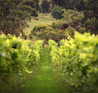 Merindoc Cafe and Cellar Door - VIC Tourism
