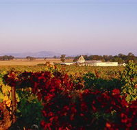 Morris Wines - VIC Tourism