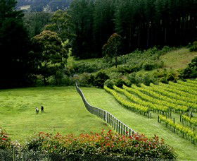 Prancing Horse Estate - VIC Tourism 2