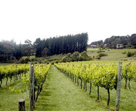 Prancing Horse Estate - VIC Tourism 3