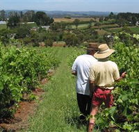 Sir Paz Estate - VIC Tourism