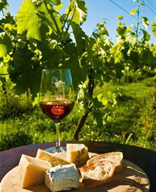 King River Estate - VIC Tourism 3