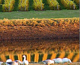 Pipers Brook TAS VIC Tourism